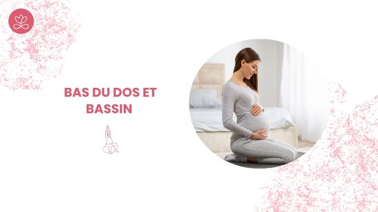 2. Bas du dos et bassin